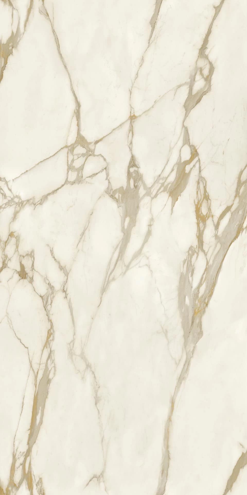 Calacatta Gold